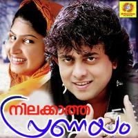 Nilakatha Pranayam songs mp3