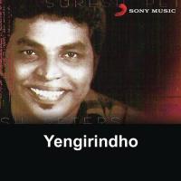 Yengirindho (2011) (Tamil)
