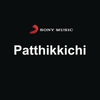 Patthikkichi (2011) (Tamil)