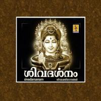 Sivadharsanam (2008) (Malayalam)