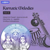 Karnatic Melodies, Vol. 2 (2019)