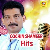 Cochin Shameer Hits (2019)