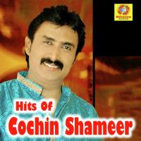 Hits Of Cochin Shameer (2019)