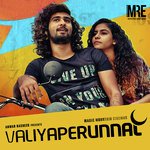 Valiyaperunnal (2019) (Malayalam)