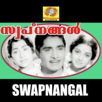 Swapnangal (2019) (Malayalam)