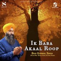 Ik Baba Akaal Roop (2019)