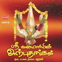 Sri Vana Maariyin Arputhangal (2012) (Tamil)