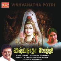 Viswanatha Potri (2012) (Tamil)
