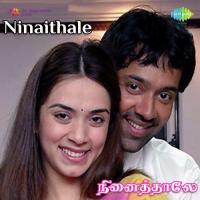 Ninaithaley (2007) (Tamil)