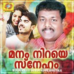Manam Niraye Sneham Mappilappattukal (2020) (Malayalam)