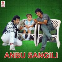 Anbu Sangili (2014) (Tamil)