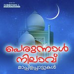 Perunnal Nilavu (2020) (Malayalam)