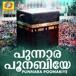 Punnara Poonabiye (2020) (Malayalam)