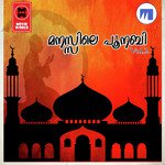 Manasile Poonabi Vol 2 (2020) (Malayalam)
