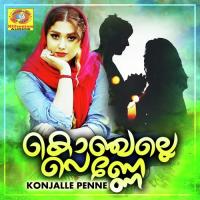 Konjalle Penne (2020) (Malayalam)
