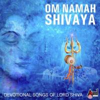 Om Namah Shivaya (2016)
