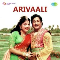 Arivaali (1963) (Tamil)