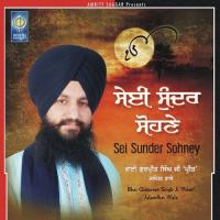 Sei Sunder Sohney (2010)