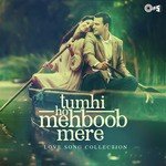 Tumhi Ho Mehboob Mere - Love Songs Collection songs mp3