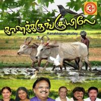 Kanakkarungkuiley (2013) (Tamil)