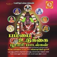 Pambai Udukkai Poosari Paadalgal (2014) (Tamil)
