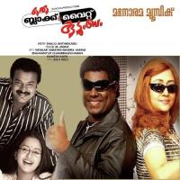 Oru Black And White Kudumbam (2009) (Malayalam)