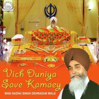 Vich Duniya Save Kamaey (2016)
