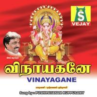 Vinayagane (2005) (Tamil)