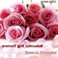 Roses In December (2005)